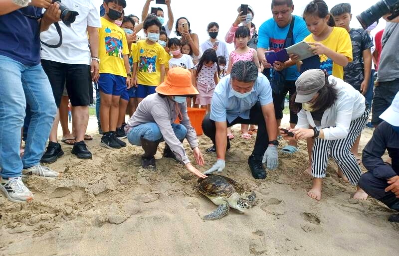 響應世界海龜日 嵵裡沙灘野放4隻海龜