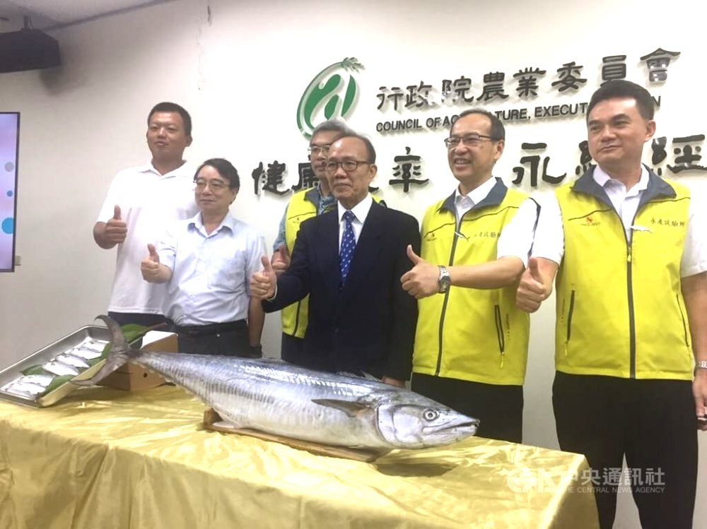 全球首例土魠魚海上人工繁殖在台灣 先復育後養殖
